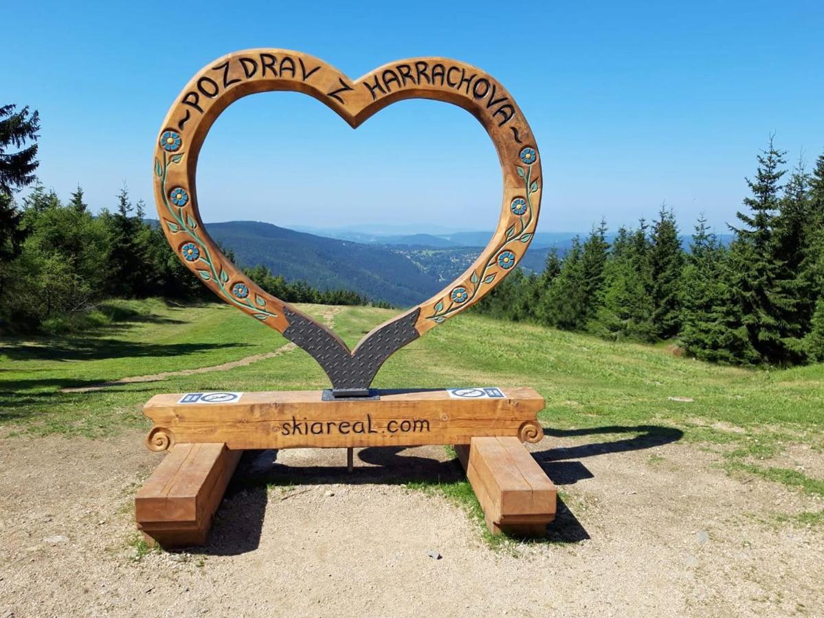Enjoyharrachov - Atraktivni Slunne Studio Certovka V Centru Harrachova S Garazovym Parkovanim, Wifi-Wlan, Sat, Herni Konzoli, Netflix Zdarma A Nejkrasnejsim Vyhledem Na Certovu Horu S Arealem Skokanskych Mustku A Sjezdovku Kültér fotó